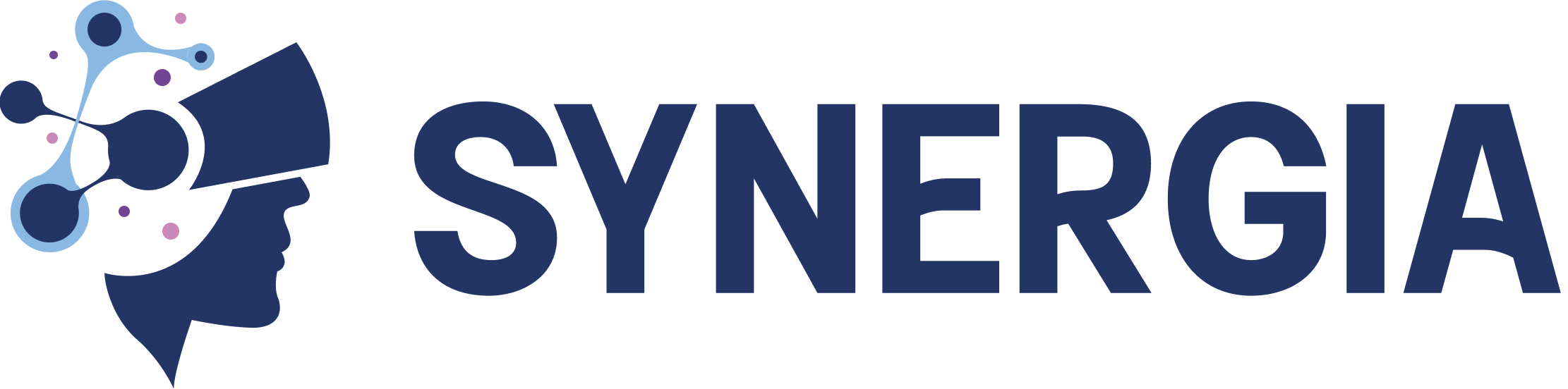 Synergia